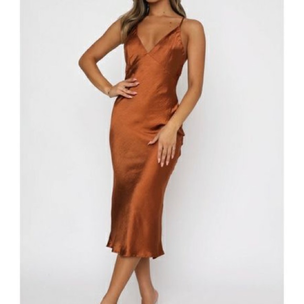 White Fox Field of Dreams Rust Satin Slip Dress NWT